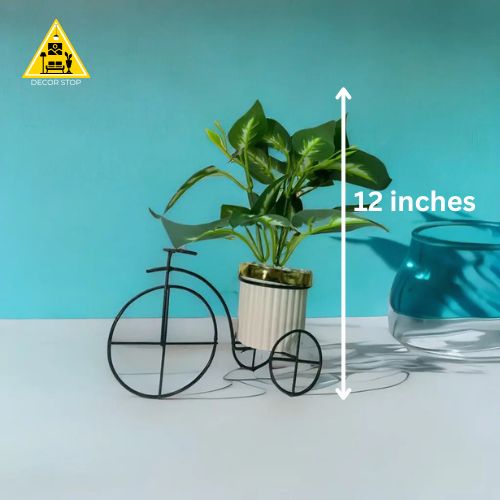 🌿 BotaniCycle ✨(10 inches)