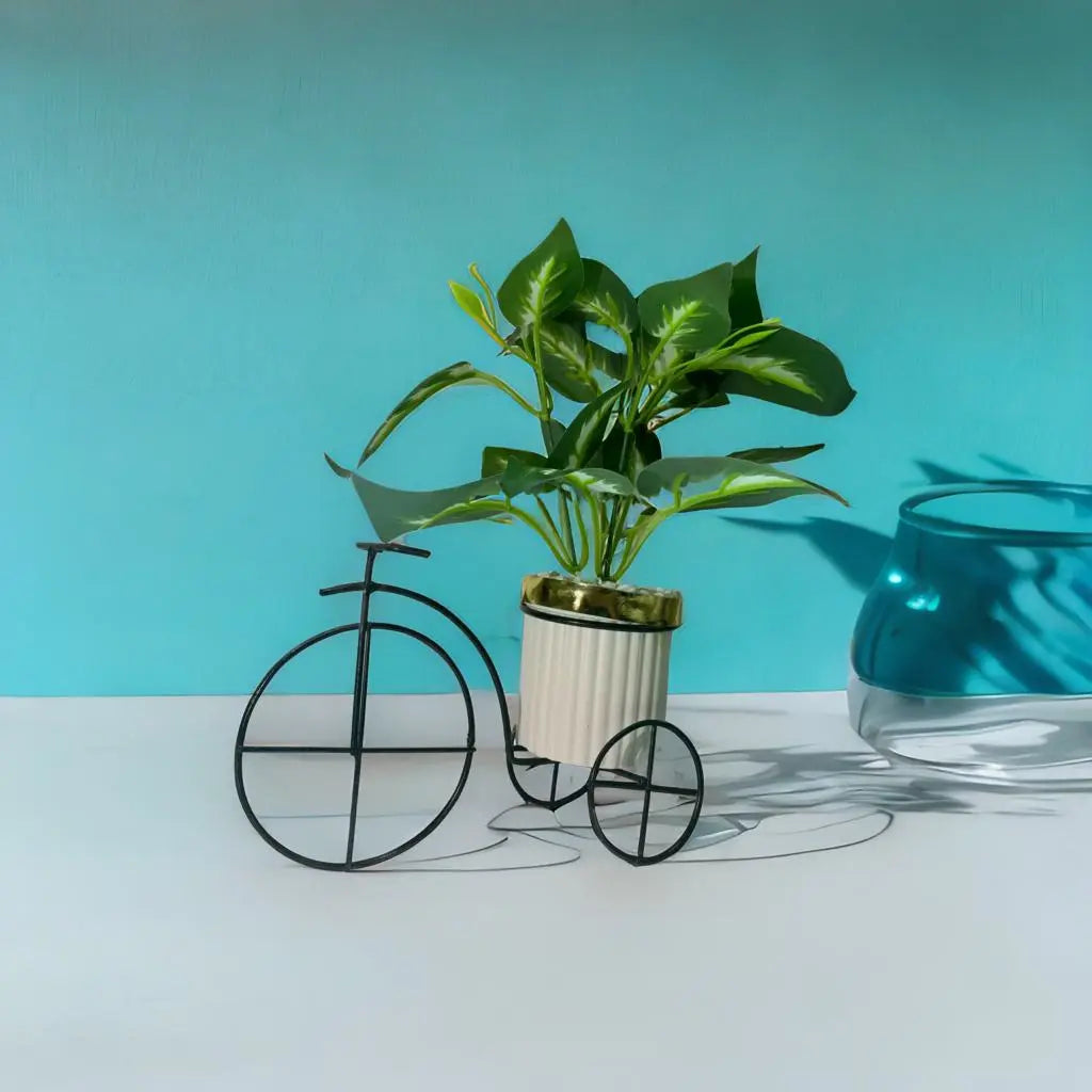 🌿 BotaniCycle ✨(10 inches)